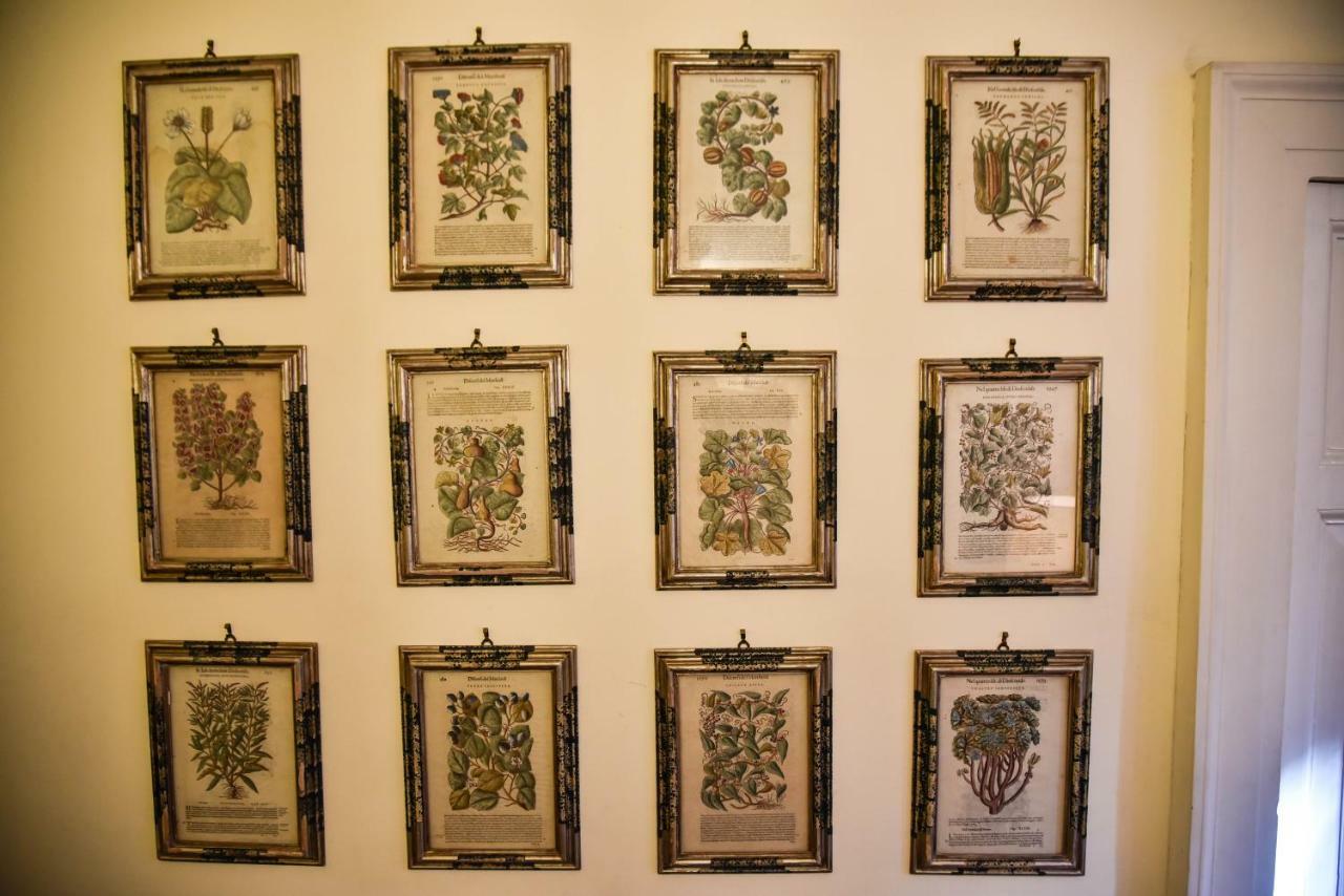 Stylish Apartment In Central Rome "Centro Storico" Extérieur photo