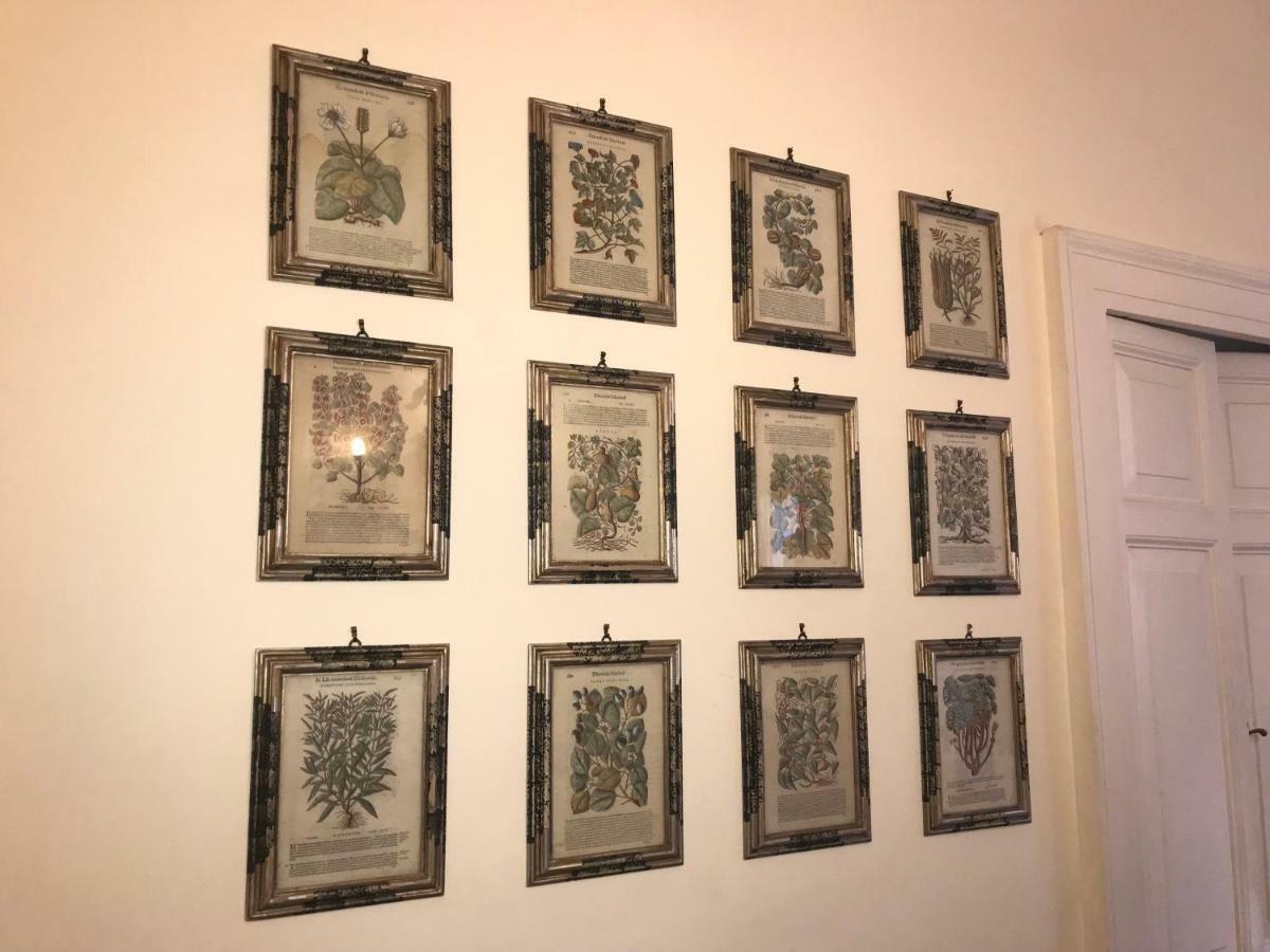 Stylish Apartment In Central Rome "Centro Storico" Extérieur photo
